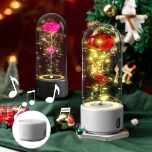 Creative 2 In 1 Rose Flowers LED Light And Bluetooth-compatible Speaker  Gift Rose Luminous Night Light Ornament In Glass Cover